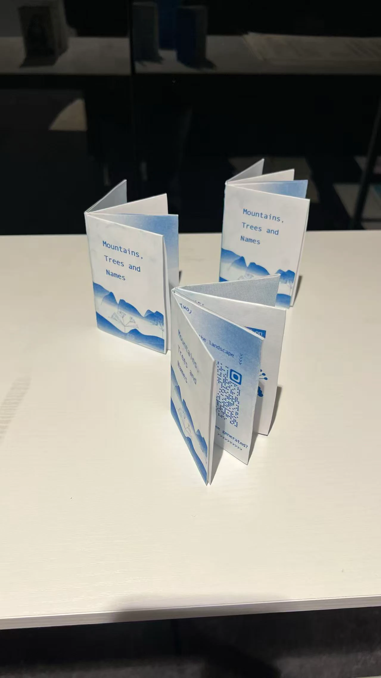 Zine Fold 2